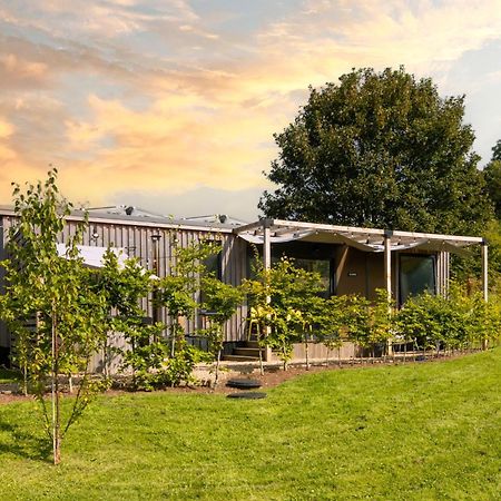 The Hive - Unique Hot Tub Cabin In Millport Exterior foto